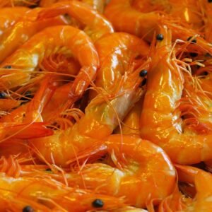 Fresh Shrimps